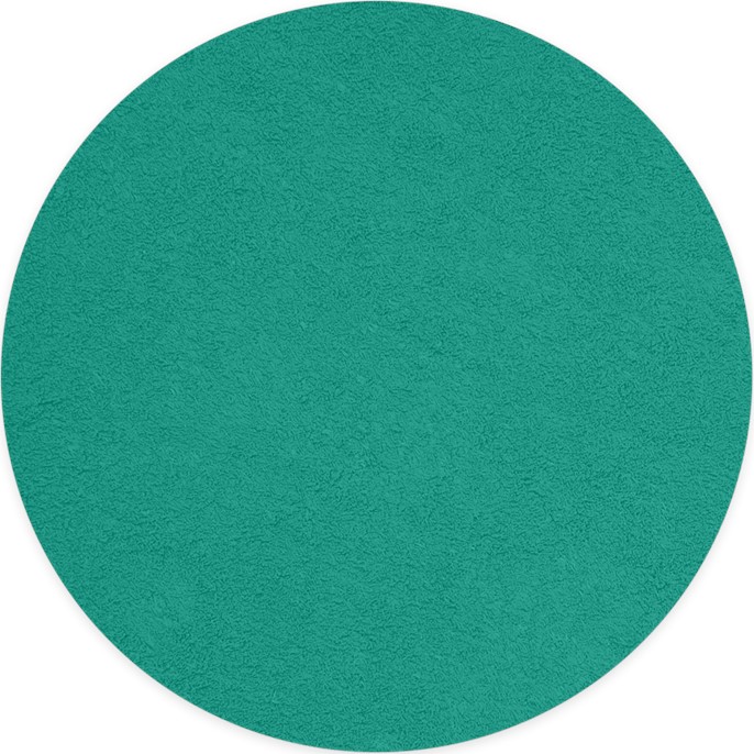 Barwnik zamsz w sprayu Velvet TURKUSOWY - TURQUOISE 250ml